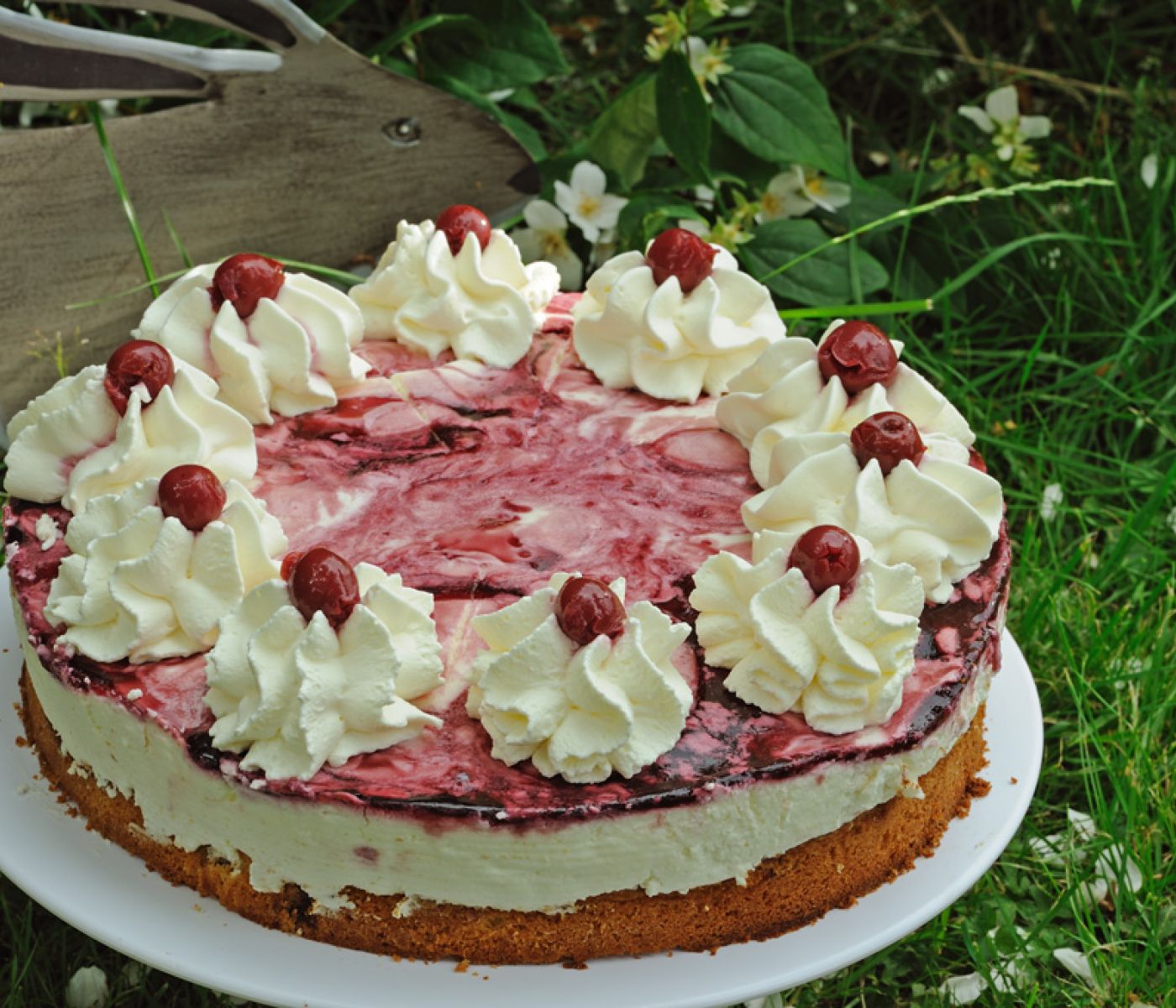 Café Uppen Barg & Swingolf in Bergrade - Kirschtorte