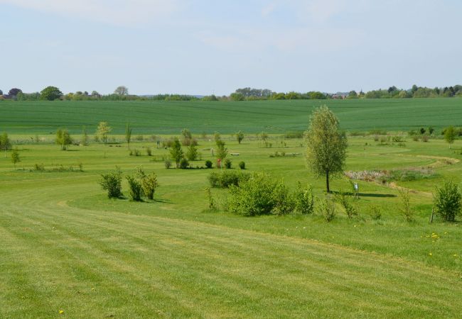 Café Uppen Barg & Swingolf in Bergrade - 18-Loch PAR 72 Platz